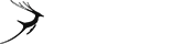 培训管理系统的网站攻击手段